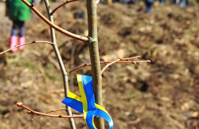 Las „Solidarni z Ukrainą”