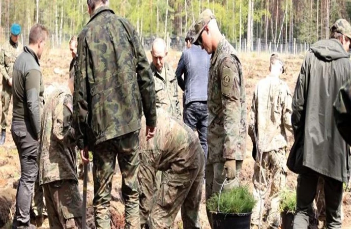 Żołnierze NATO sadzą polskie drzewa